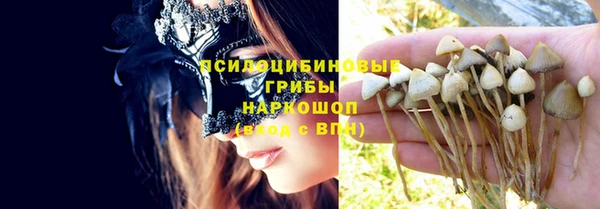 твердый Аркадак