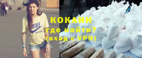 твердый Аркадак