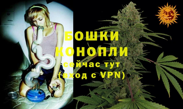 твердый Аркадак