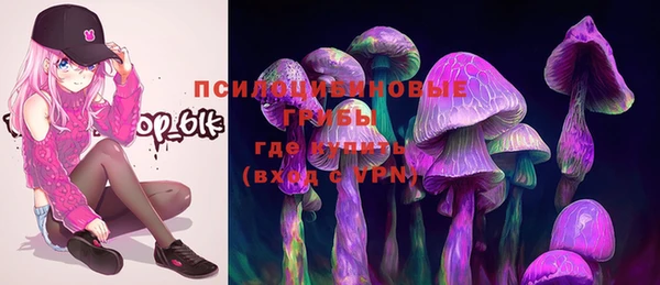 первитин Арсеньев