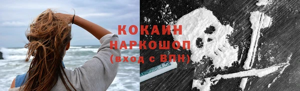твердый Аркадак