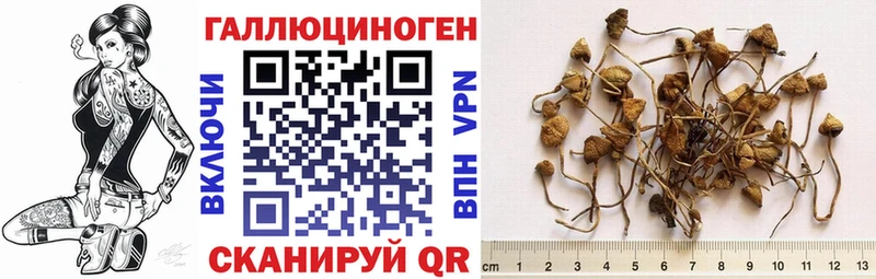 Галлюциногенные грибы GOLDEN TEACHER Пушкино