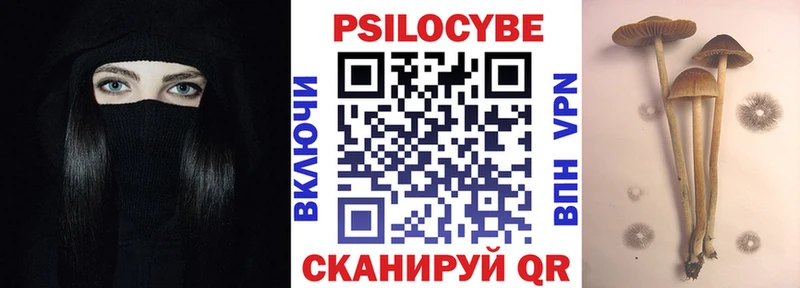 hydra как войти  Пушкино  Галлюциногенные грибы Psilocybe 