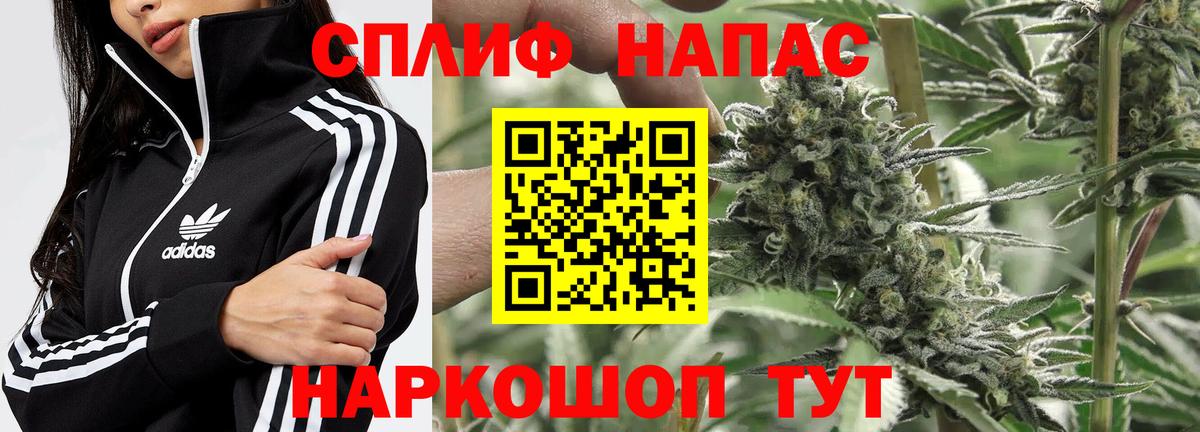 Конопля марихуана Пушкино